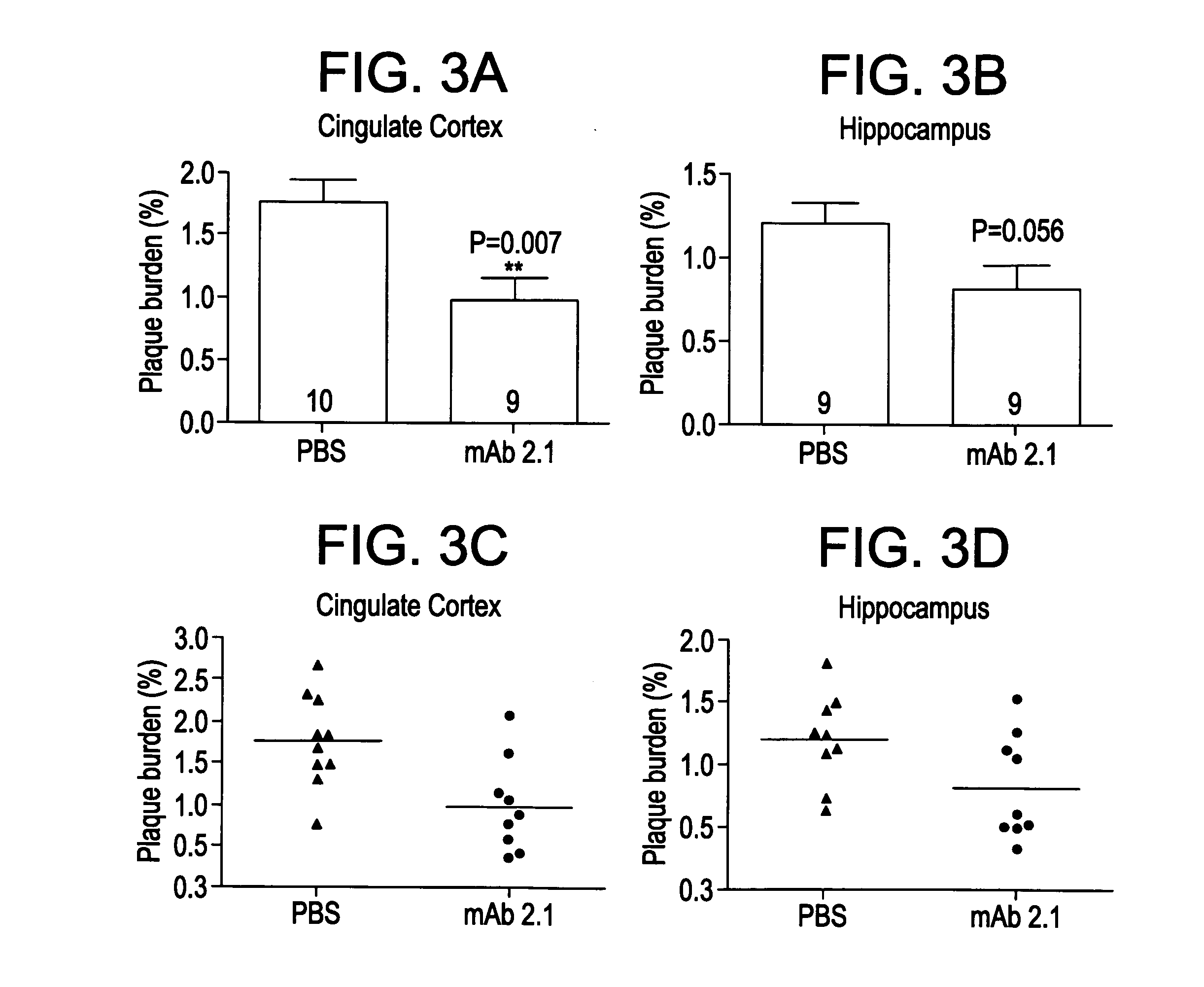 Anti-amyloid antibodies and uses thereof