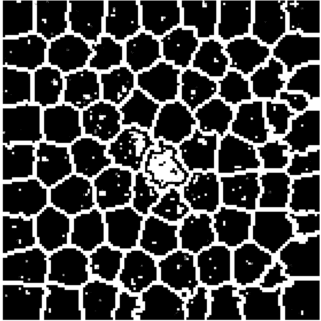 SAR image segmentation method for bee colony and gray association algorithm on basis of superpixel blocks