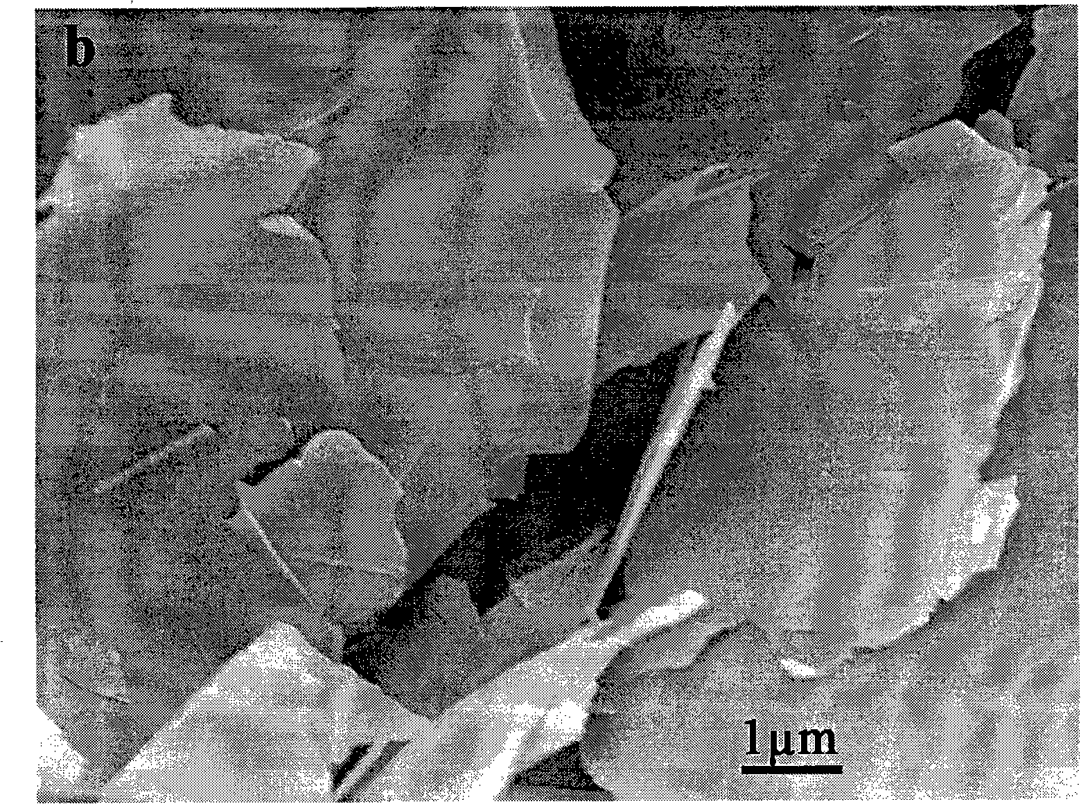 Conductive cement and method for preparing same