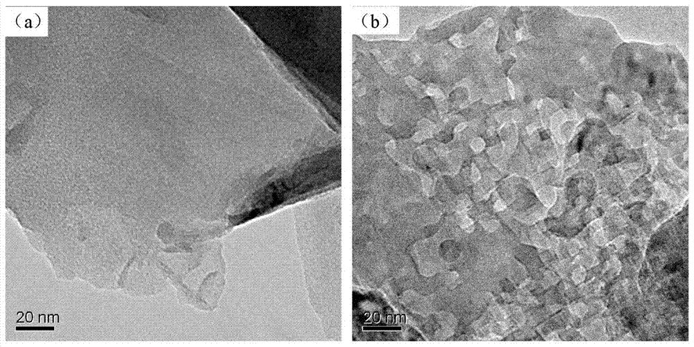 Preparation method for carbon doped carbon nitride film electrode