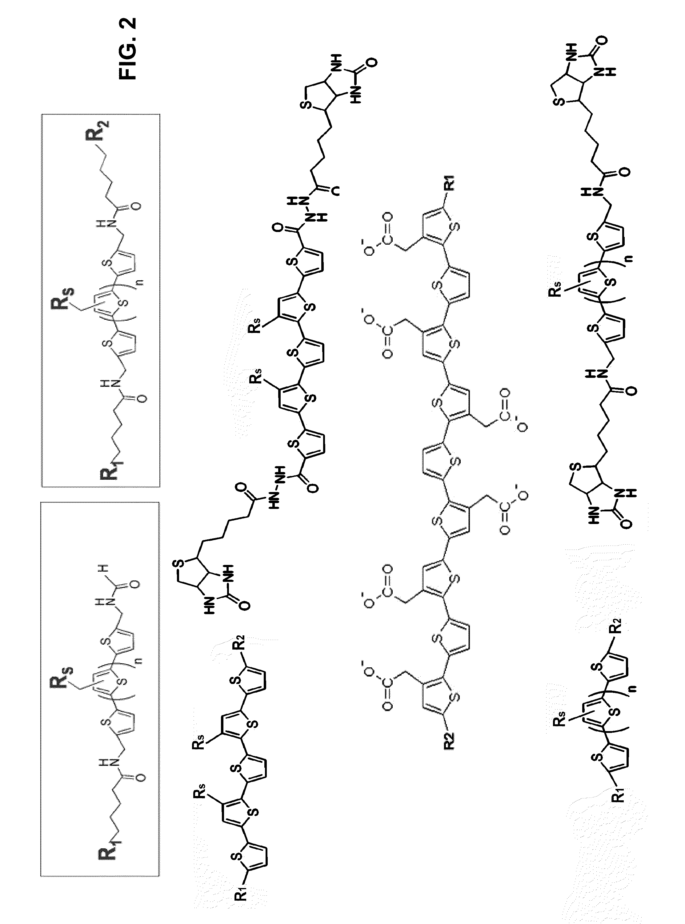 Binding of pathological forms of proteins using conjugated polyelectrolytes