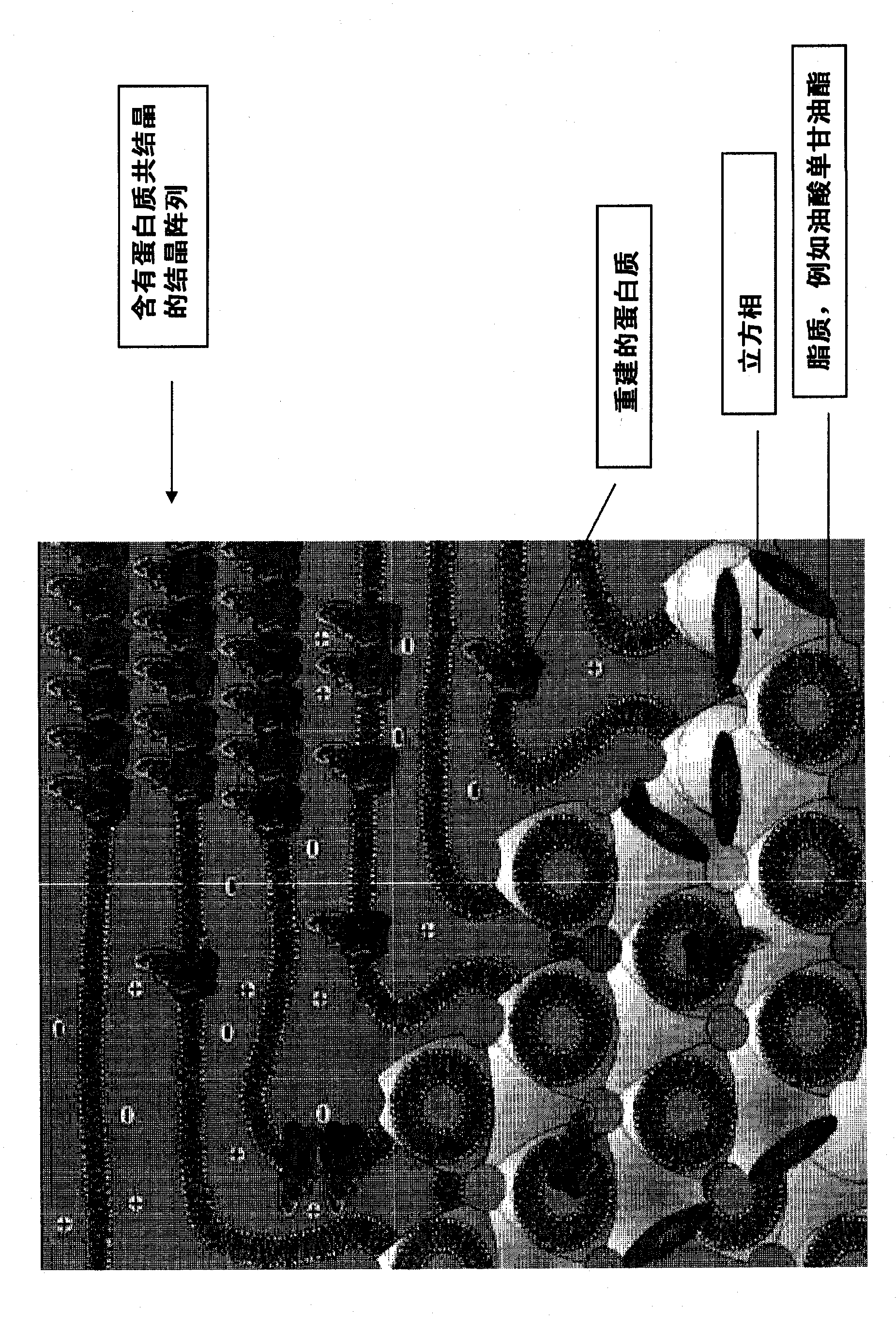 Method of loading a crystallization device