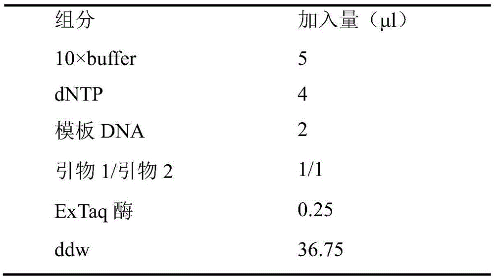 Temperature-sensitive recombinant corynebacterium glutamicum producing glutamic acid and application thereof