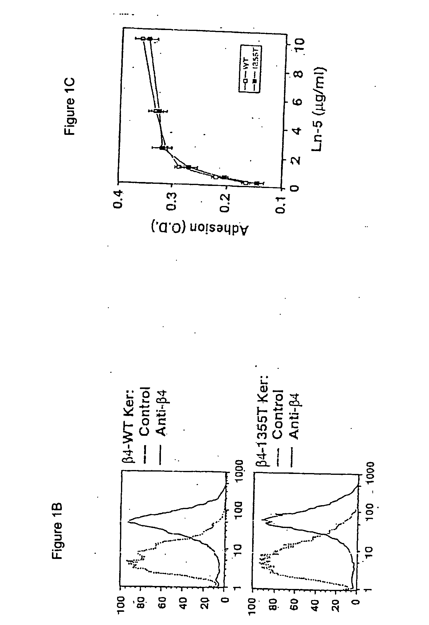 Methods for controlling pathological angiogenesis by inhibition of a6b4 integrin