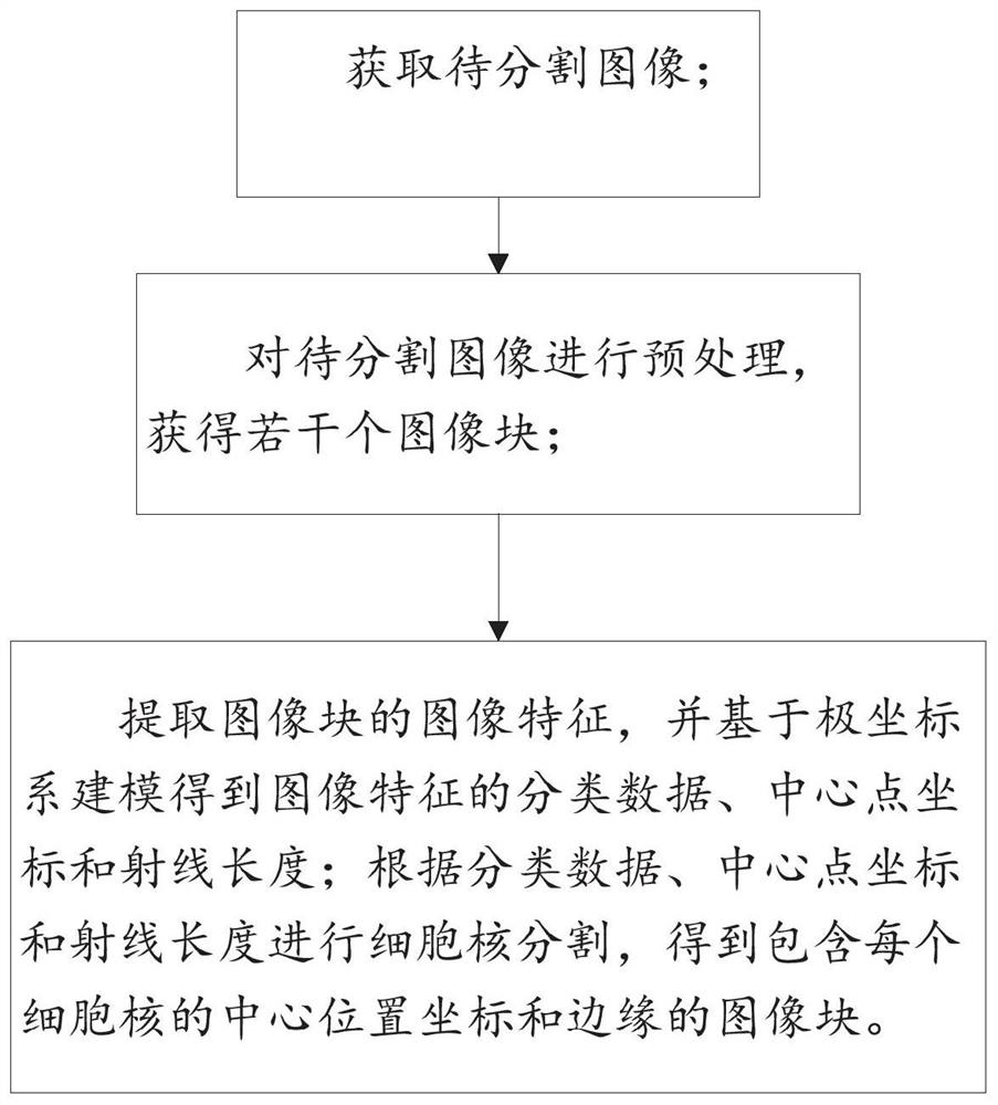 Tissue pathology image cell nucleus segmentation method and system based on polar coordinate representation