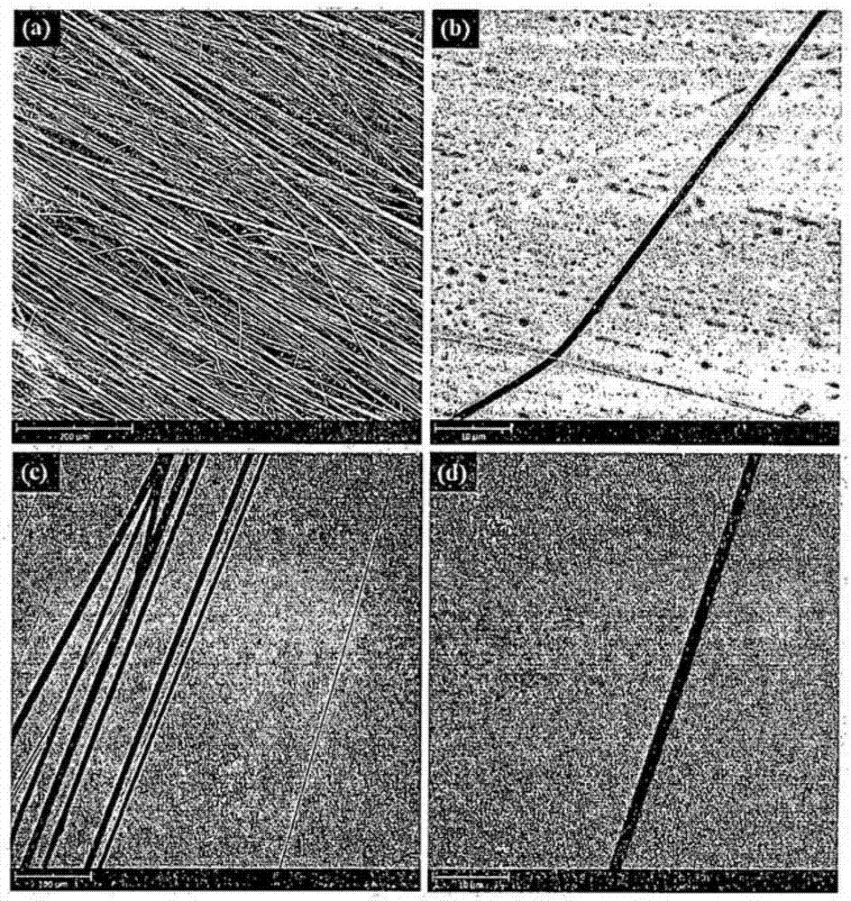 Process of fabrication of submicron aligned hydrophobic and oleophilic fibre from polystyrene waste with controllable geometry using-citrus peel extract as solvent
