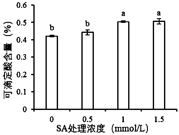 Method for improving fresh-keeping effect of blueberries