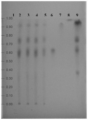Composition and preparation for treating novel coronavirus pneumonia and application of composition