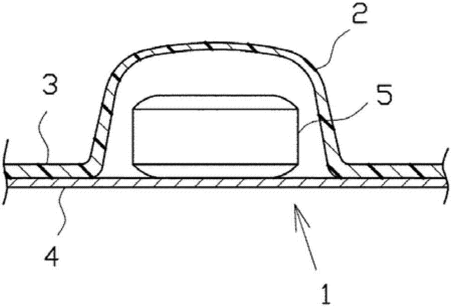 Pickup device and blister packaging machine