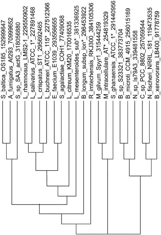 Phosphoketolases for improved production of acetyl coenzyme a-derived metabolites, isoprene, isoprenoid precursors, and isoprenoids