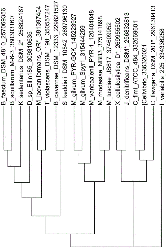 Phosphoketolases for improved production of acetyl coenzyme a-derived metabolites, isoprene, isoprenoid precursors, and isoprenoids