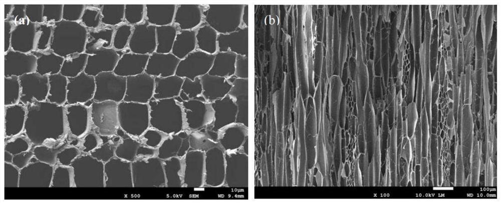 Composite material based on lignocellulose and bacterial cellulose as well as preparation method and application of composite material