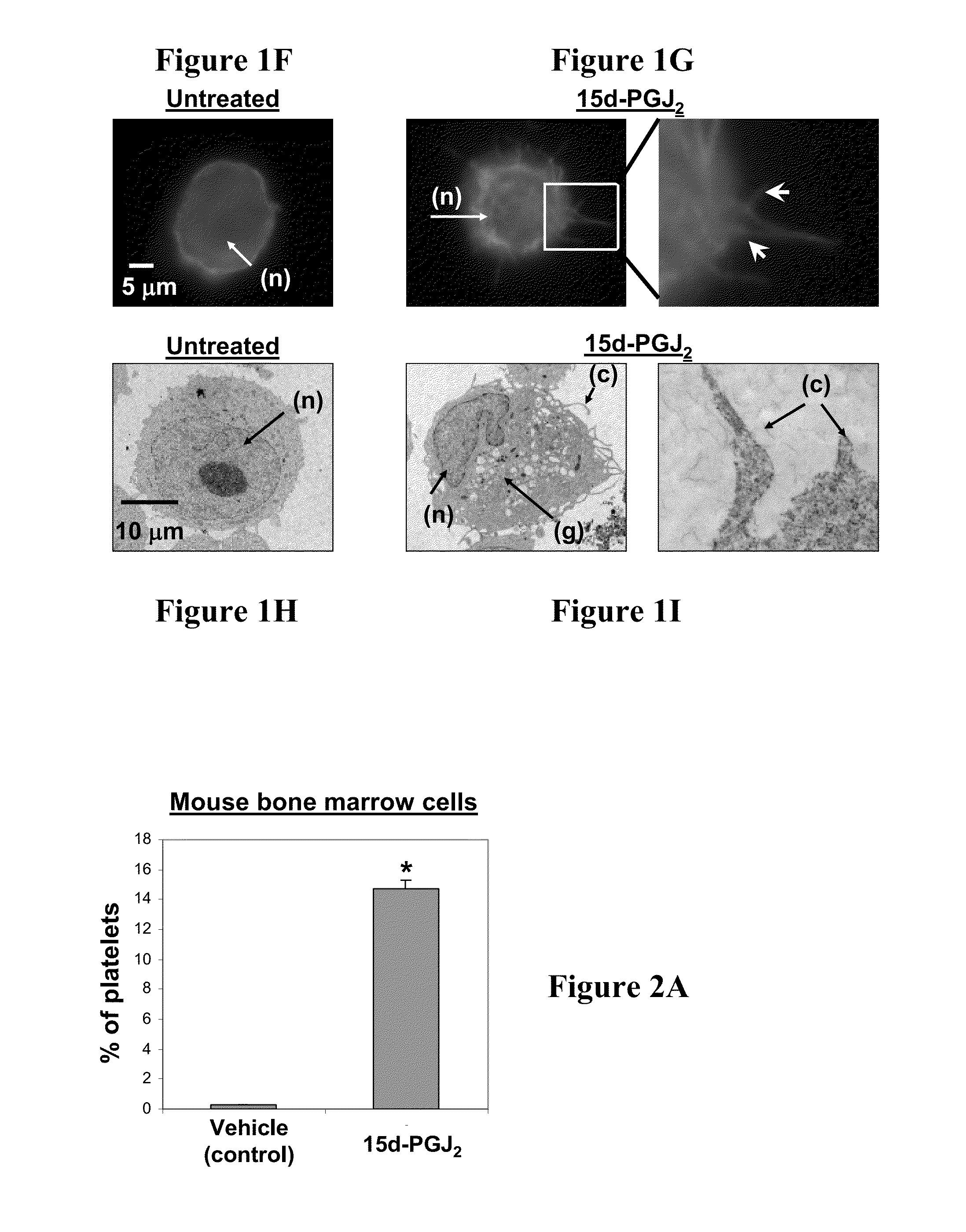 Use of electrophilic compounds for inducing platelet production or maintaining platelet function