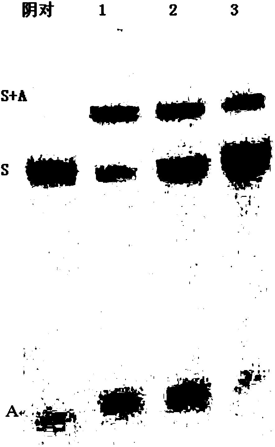Novel DNA library construction method and application thereof