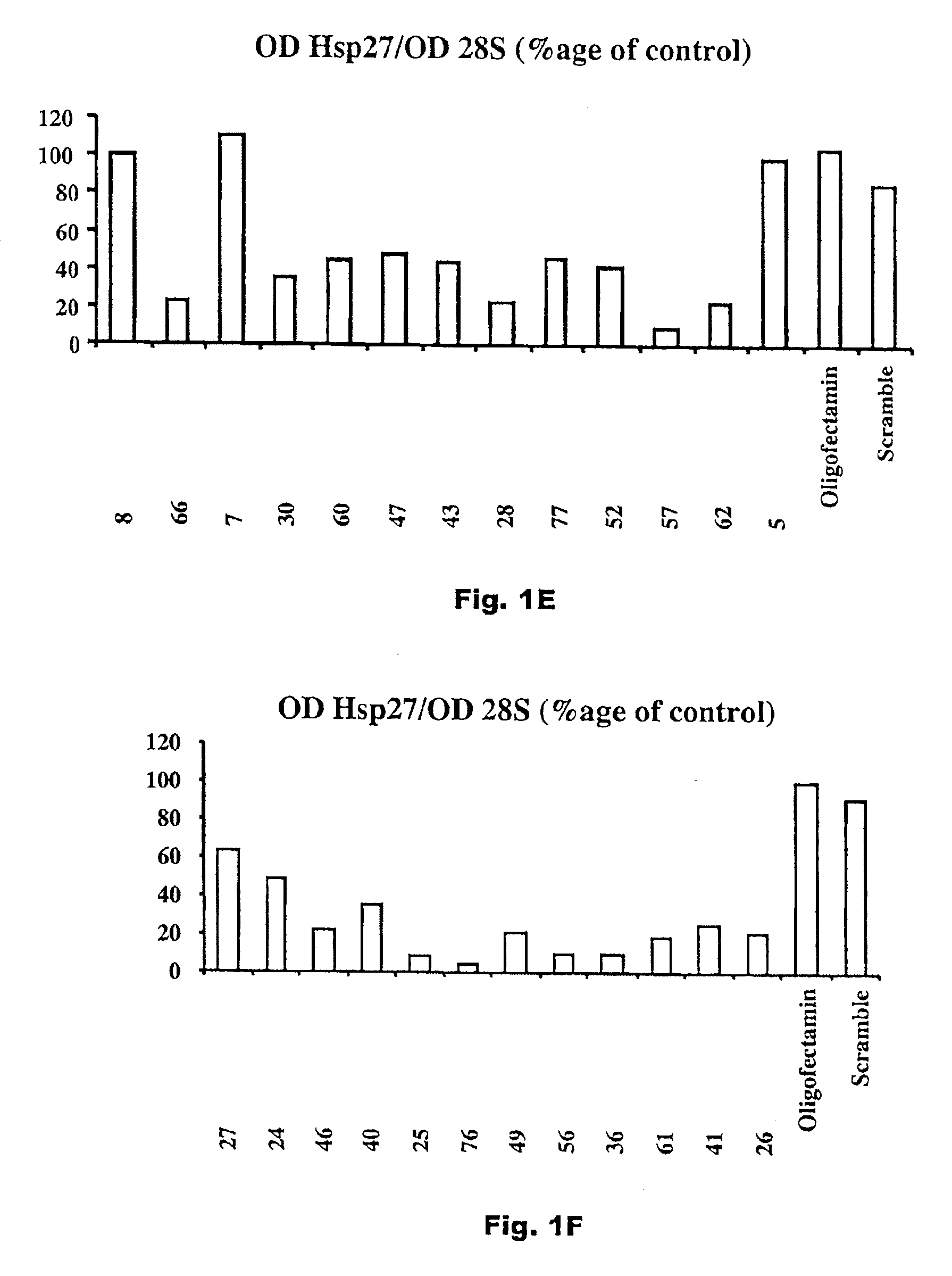 Compositions and methods for treatment of prostate and other cancers