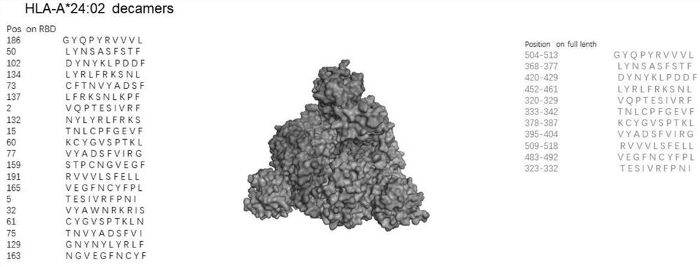 Method for testing novel coronavirus pneumonia