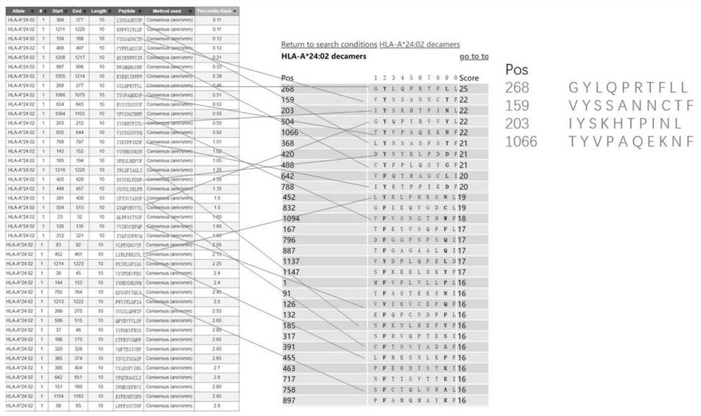 Method for testing novel coronavirus pneumonia