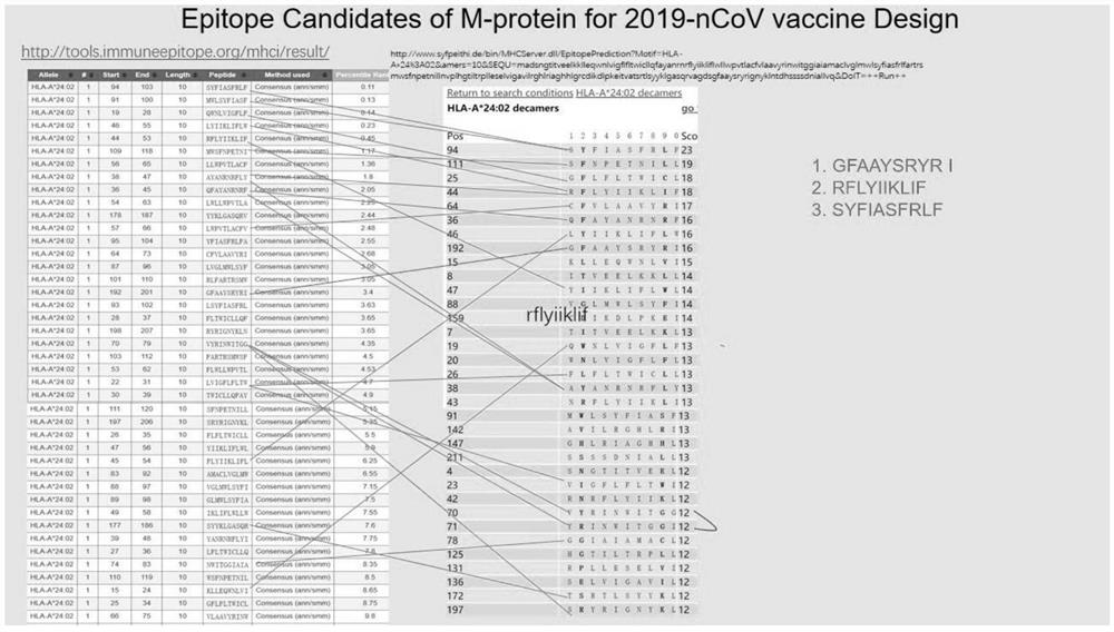 Method for testing novel coronavirus pneumonia