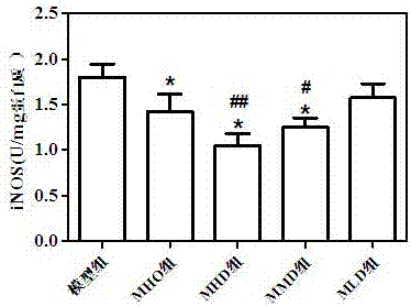 Muscone suppository and preparation method and application thereof