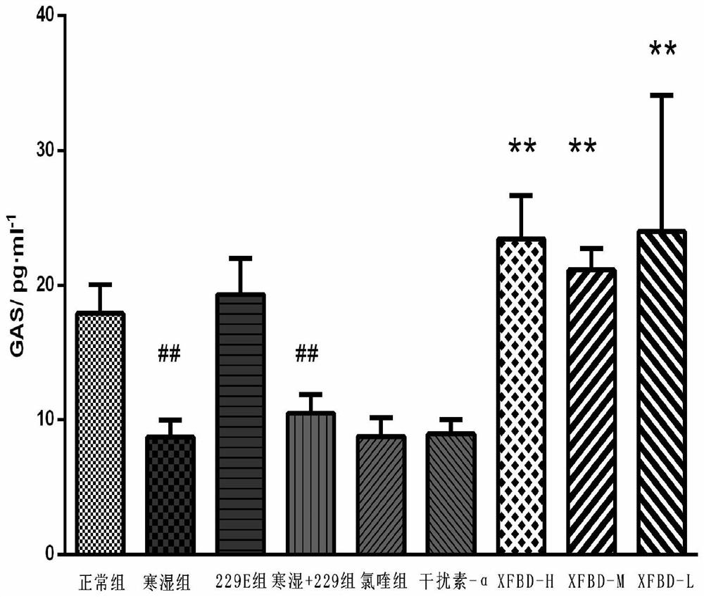 Anti-coronavirus traditional Chinese medicine composition and use thereof in treatment of inflammation
