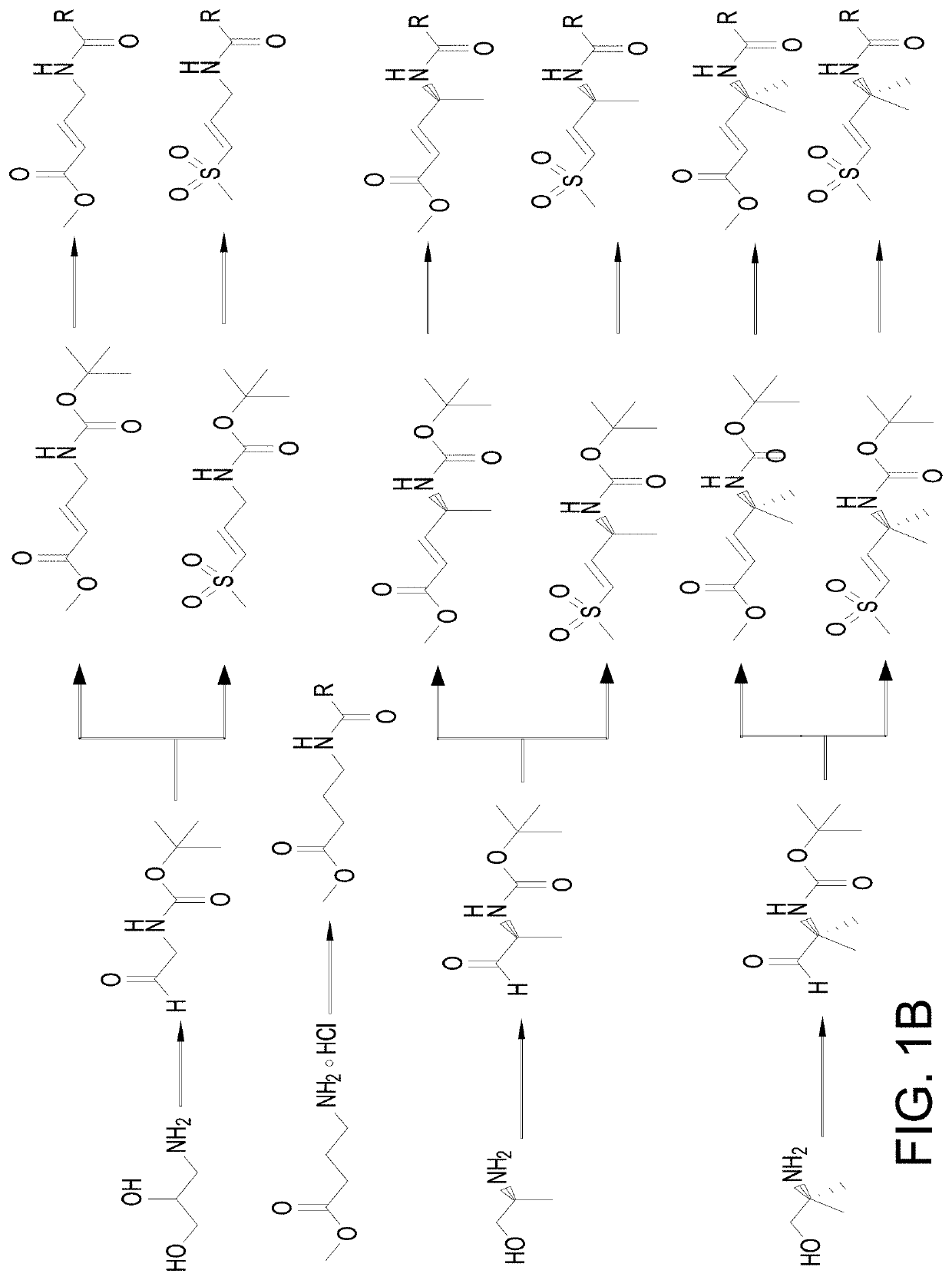 Covalent inhibitors of equine encephalitis virus