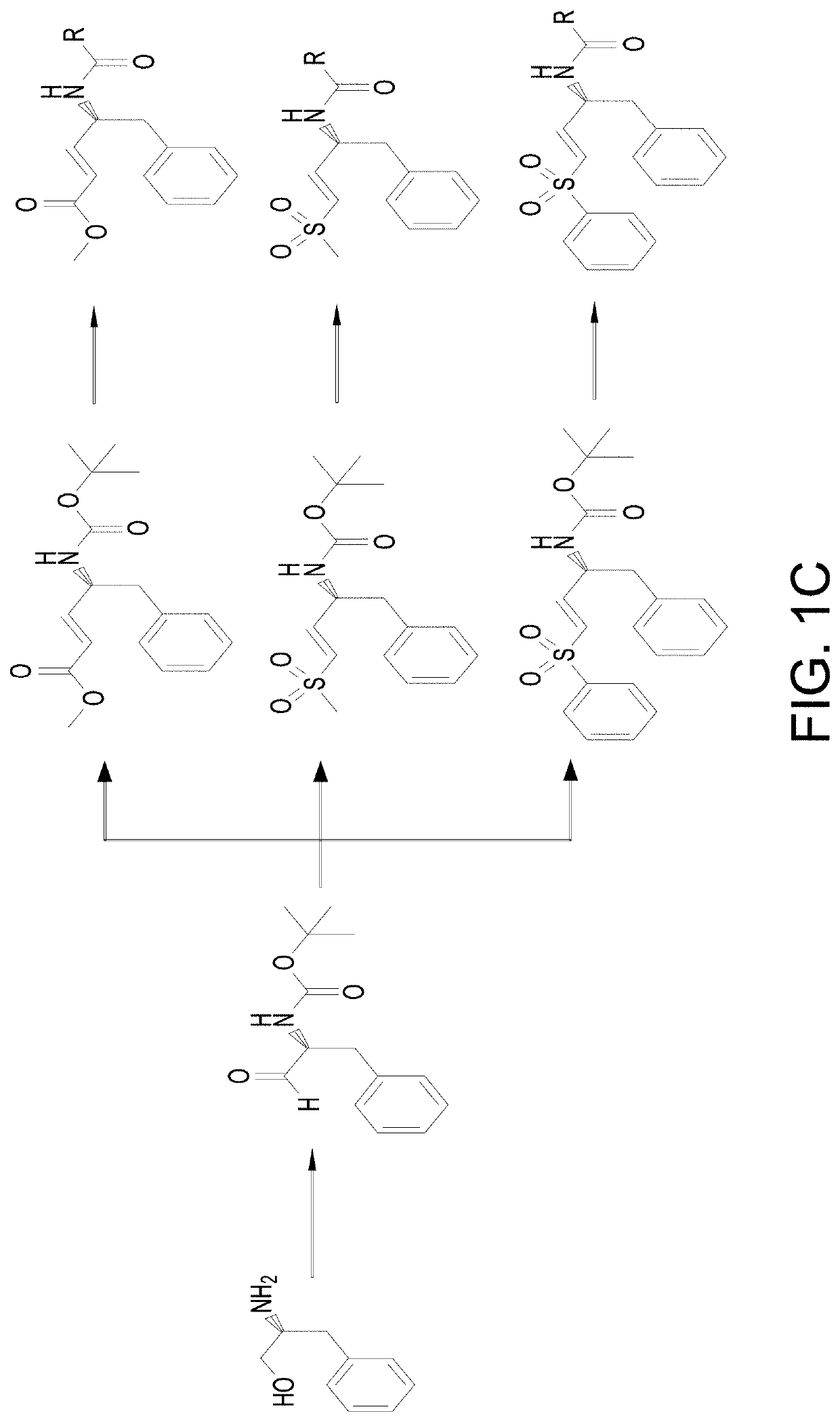 Covalent inhibitors of equine encephalitis virus