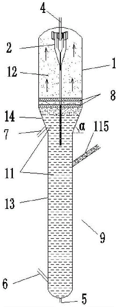 Fluidized bed reactor and application thereof