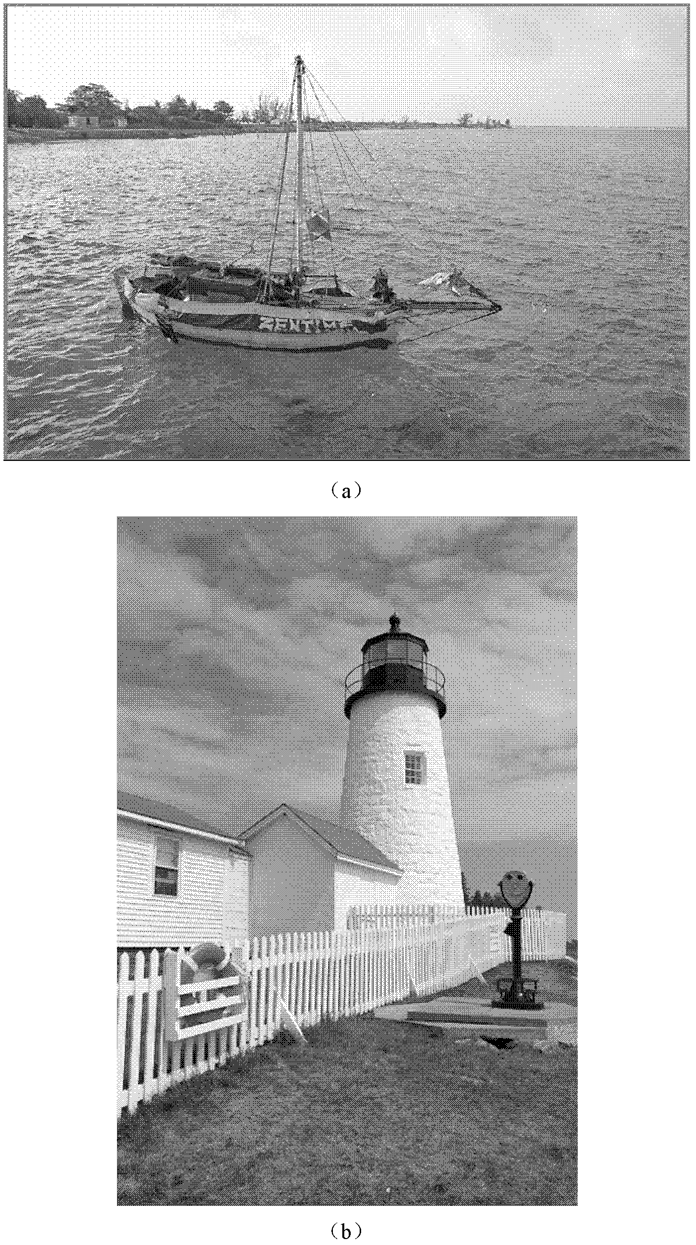 Treelet-based Bayer type CFA image denoising method