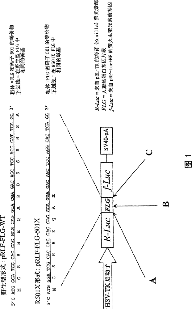 Prevention/treatment of ichthyosis vulgaris, atopy and other disorders