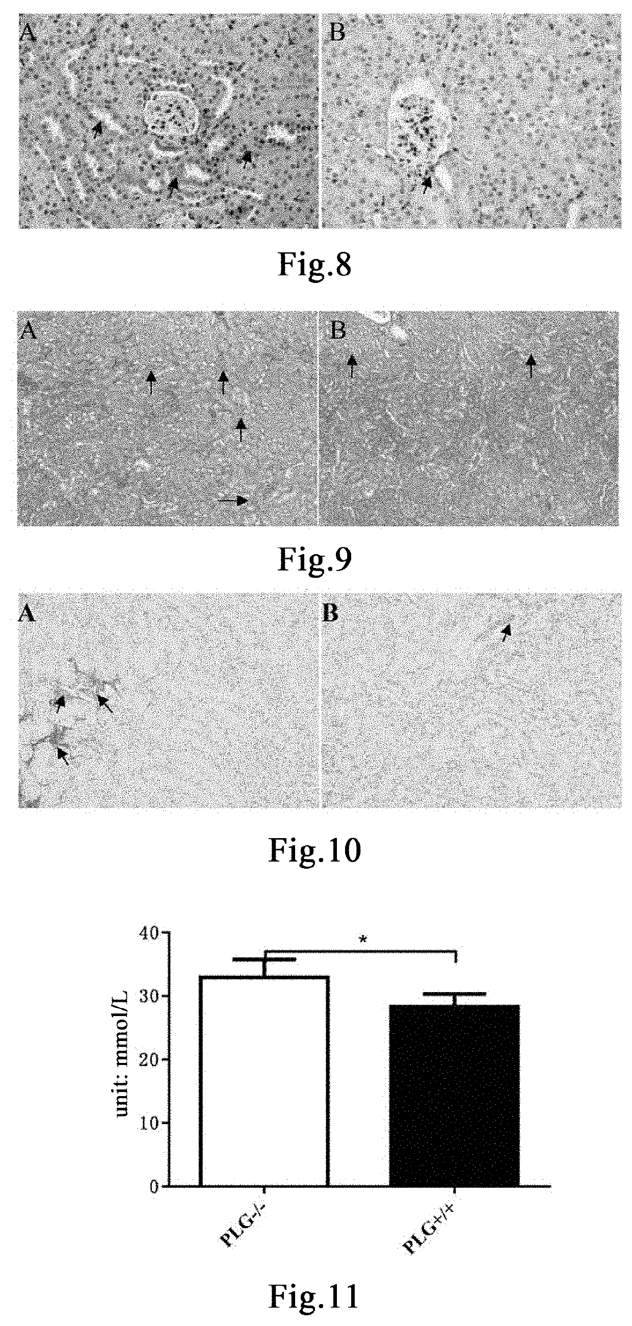 Method for preventing and treating pathological renal tissue injury