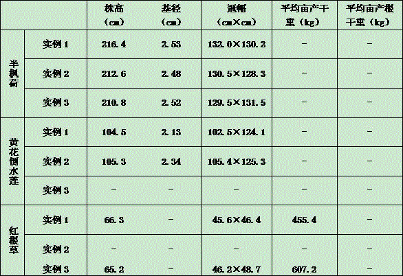 Method for interplanting traditional Chinese medicinal materials in karst area abandoned farmland in stereoscopic compound mode