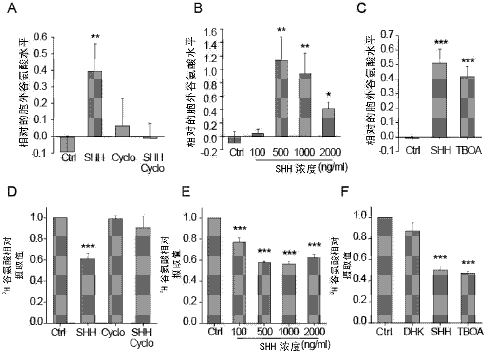 Application of specific inhibitor of SHH signaling pathway