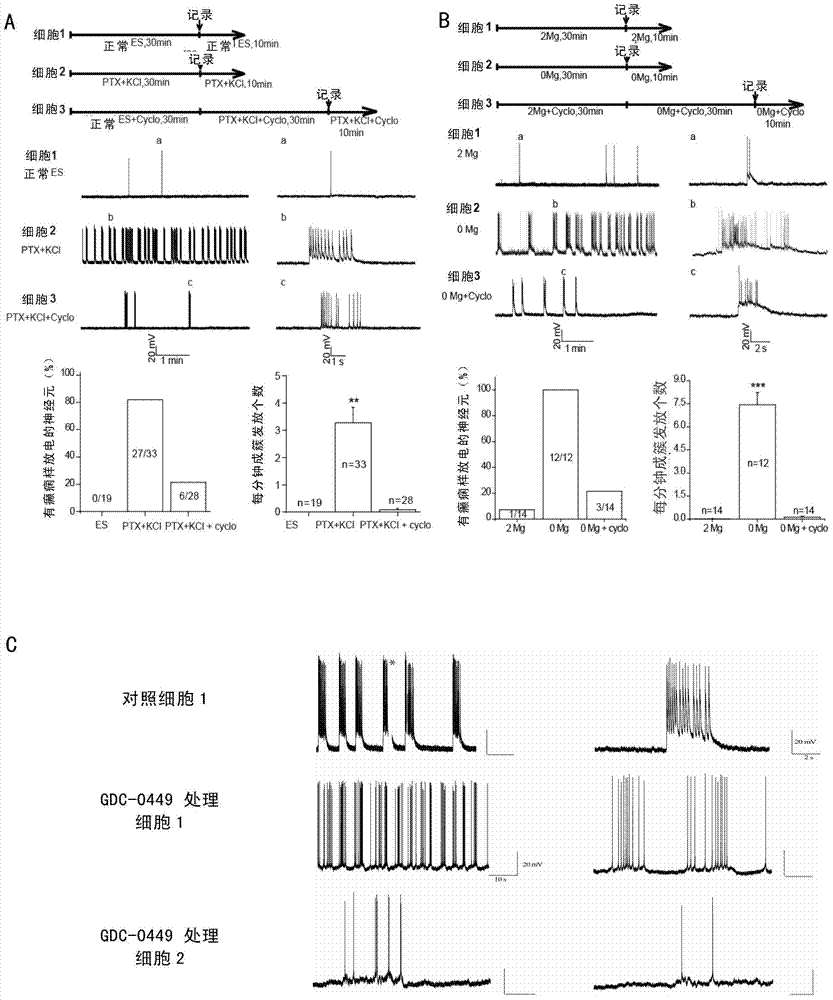 Application of specific inhibitor of SHH signaling pathway