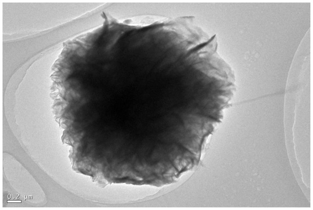 A kind of indium zinc sulfide/black phosphorus quantum dot and its preparation method and application