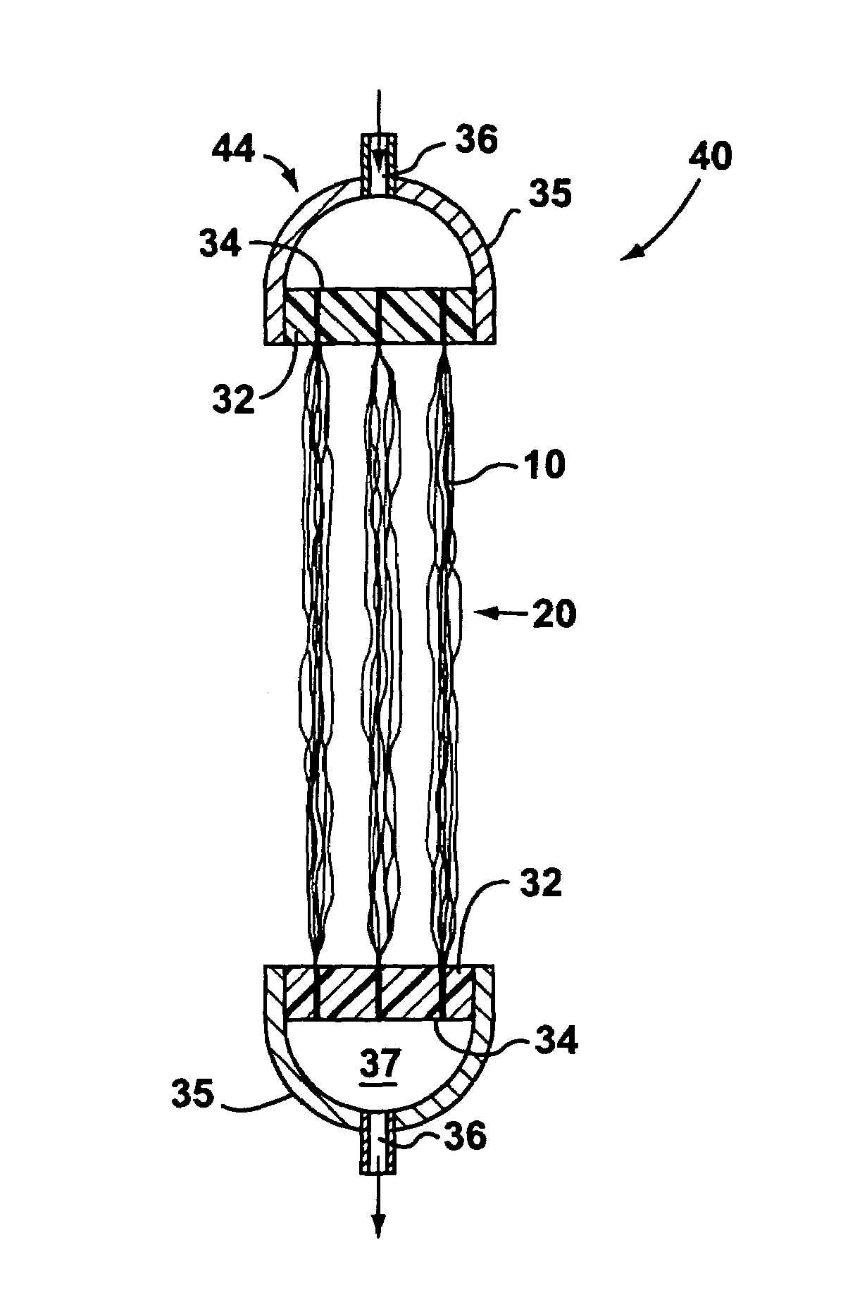 Supported biofilm apparatus and process