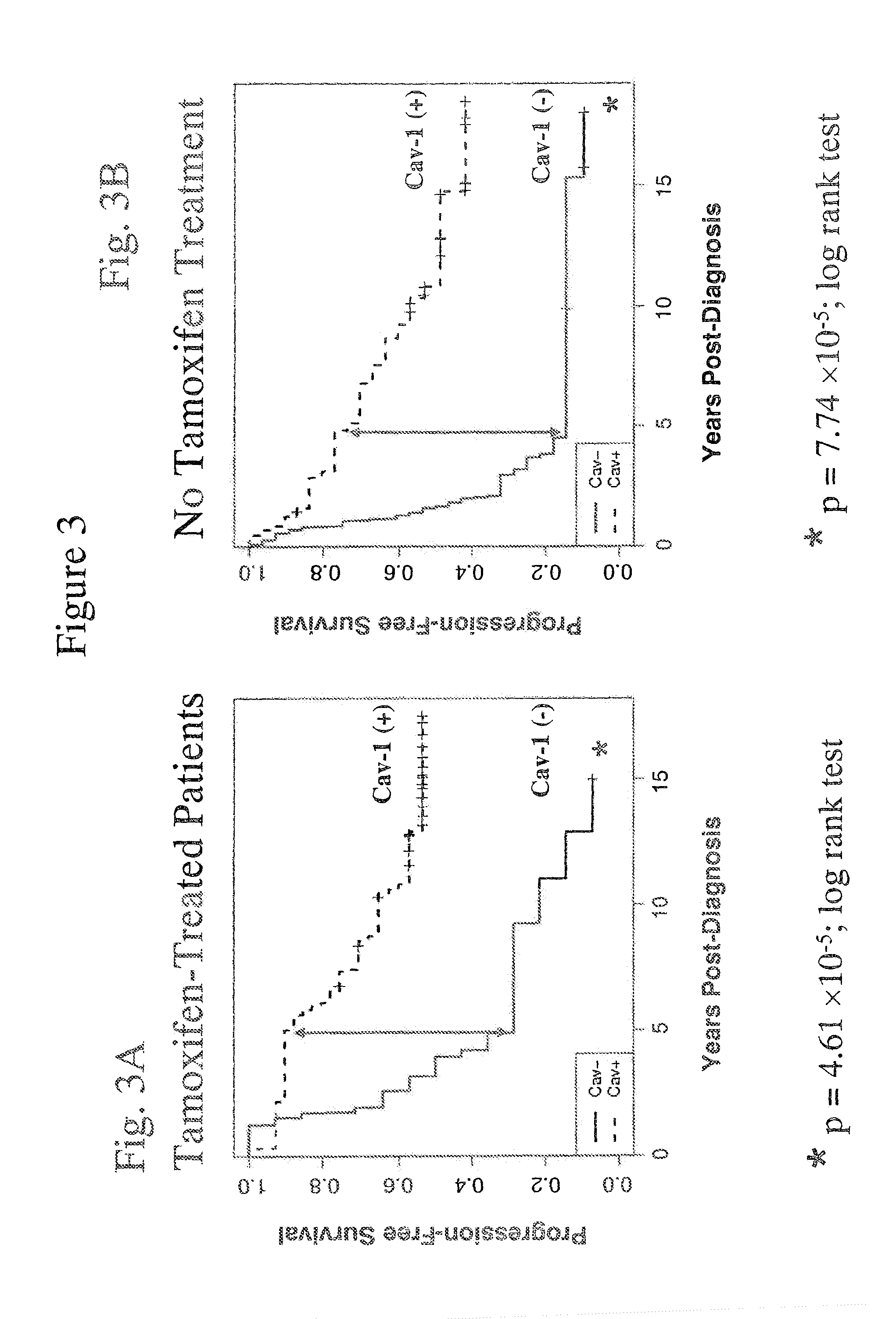 Therapeutics And Methods For Treating Neoplastic Diseases Comprising Determining The Level Of Caveolin-1 And/Or Caveolin-2 In A Stromal Cell Sample