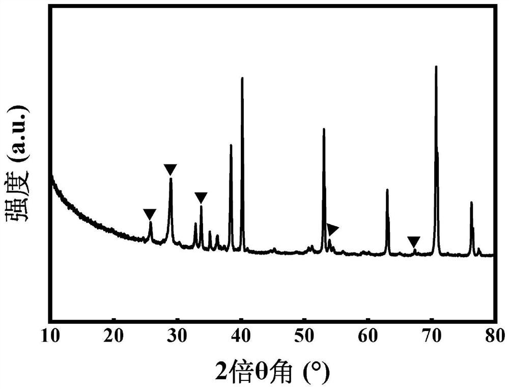 Antimony-based integrated electrode and preparation method and application thereof