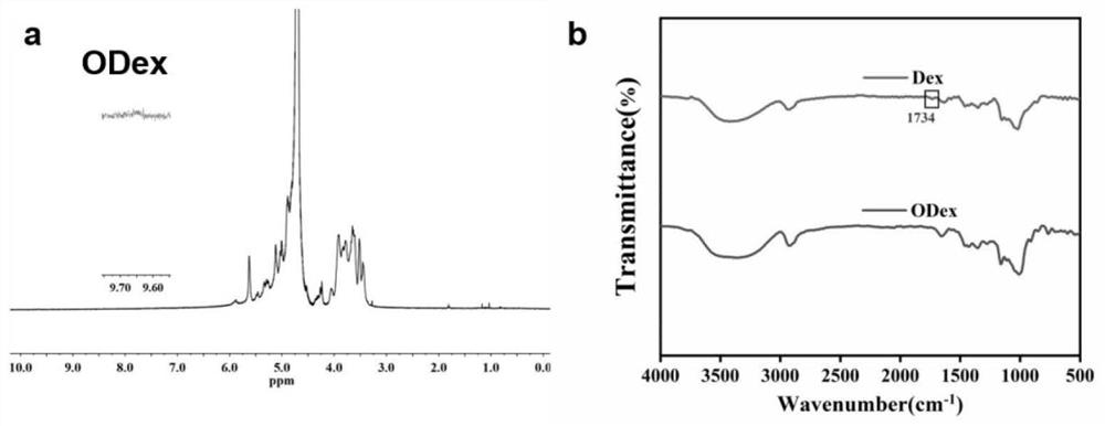 A multifunctional natural polysaccharide repairing adhesive hydrogel, its preparation method and its application in the preparation of medicines for treating skin damage