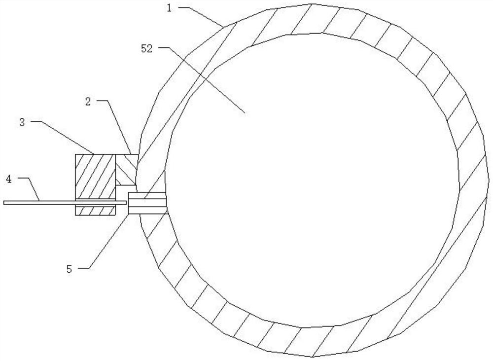 A grain detection sample extraction device