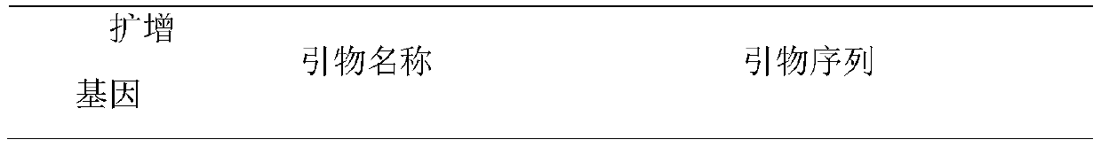 Discrimination method of rapid growth period of cyanobacteria based on cell division ftsz gene expression