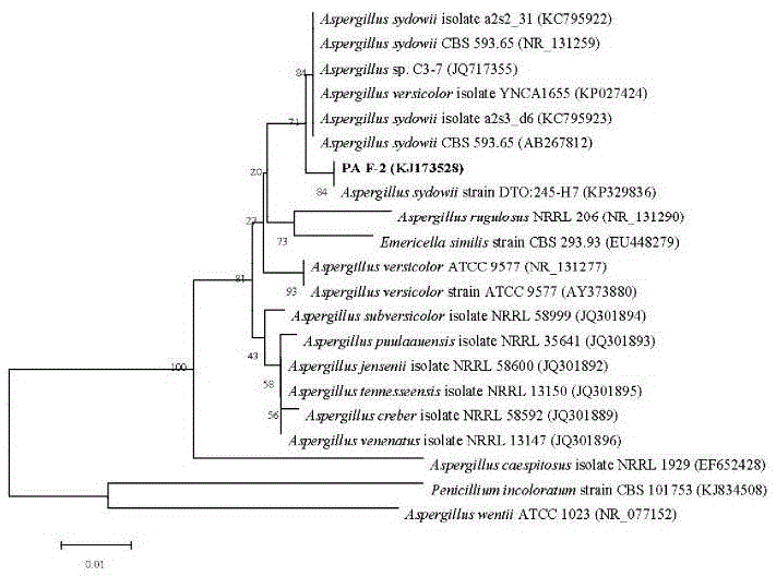 Aspergillus sydowii with broad-spectrum pesticide degradation characteristics