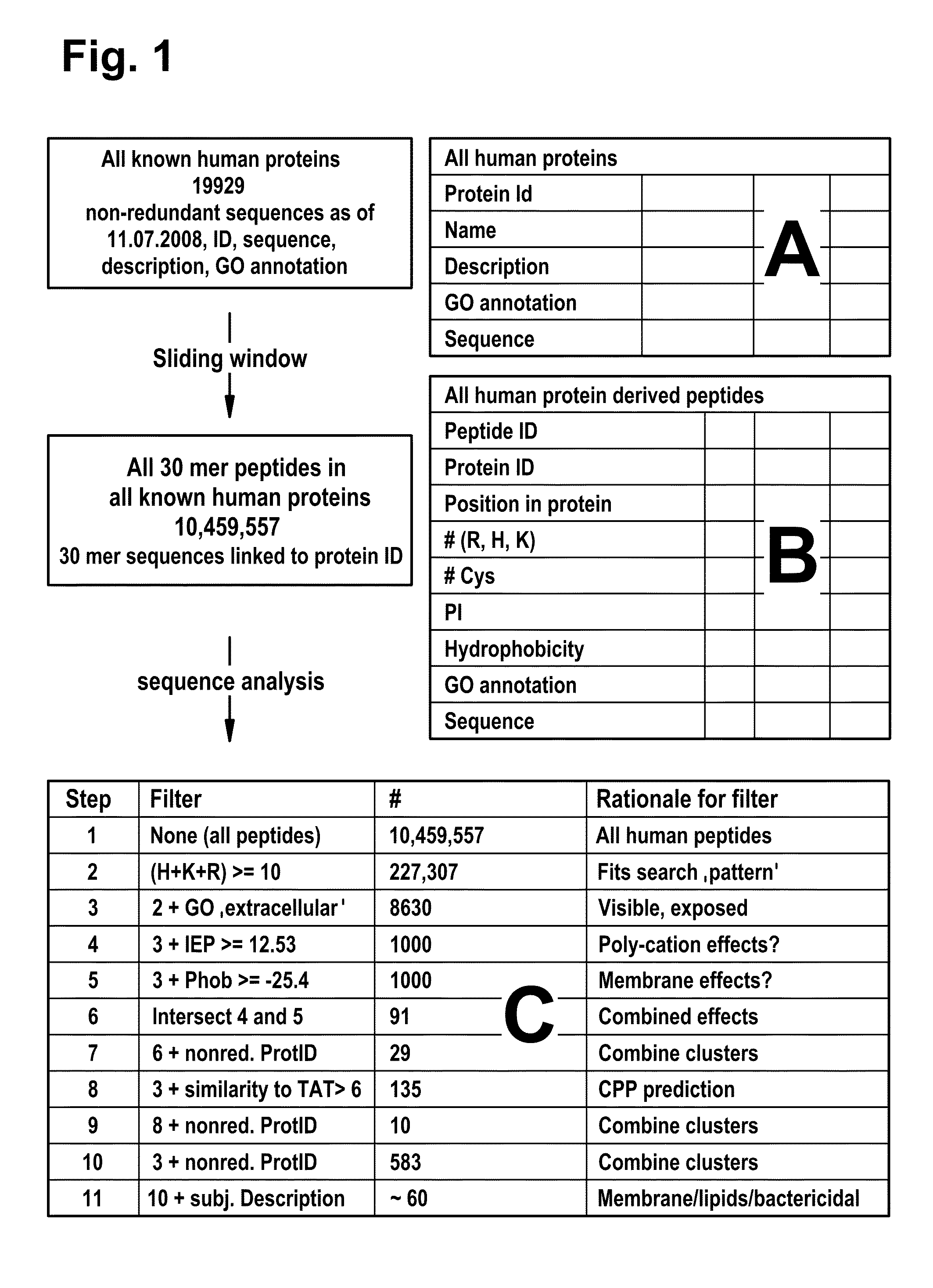 Cell-penetrating peptides and uses thereof