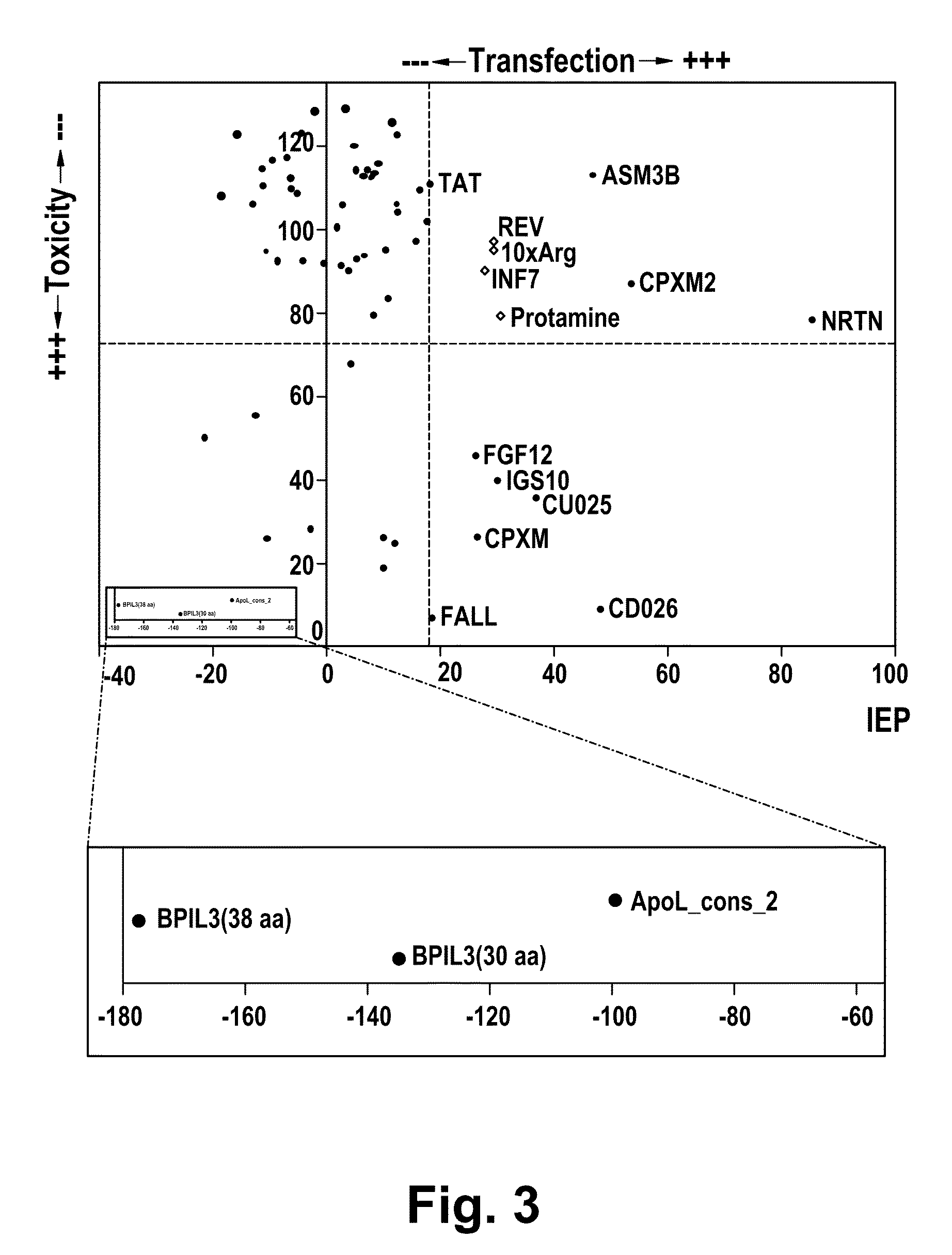 Cell-penetrating peptides and uses thereof