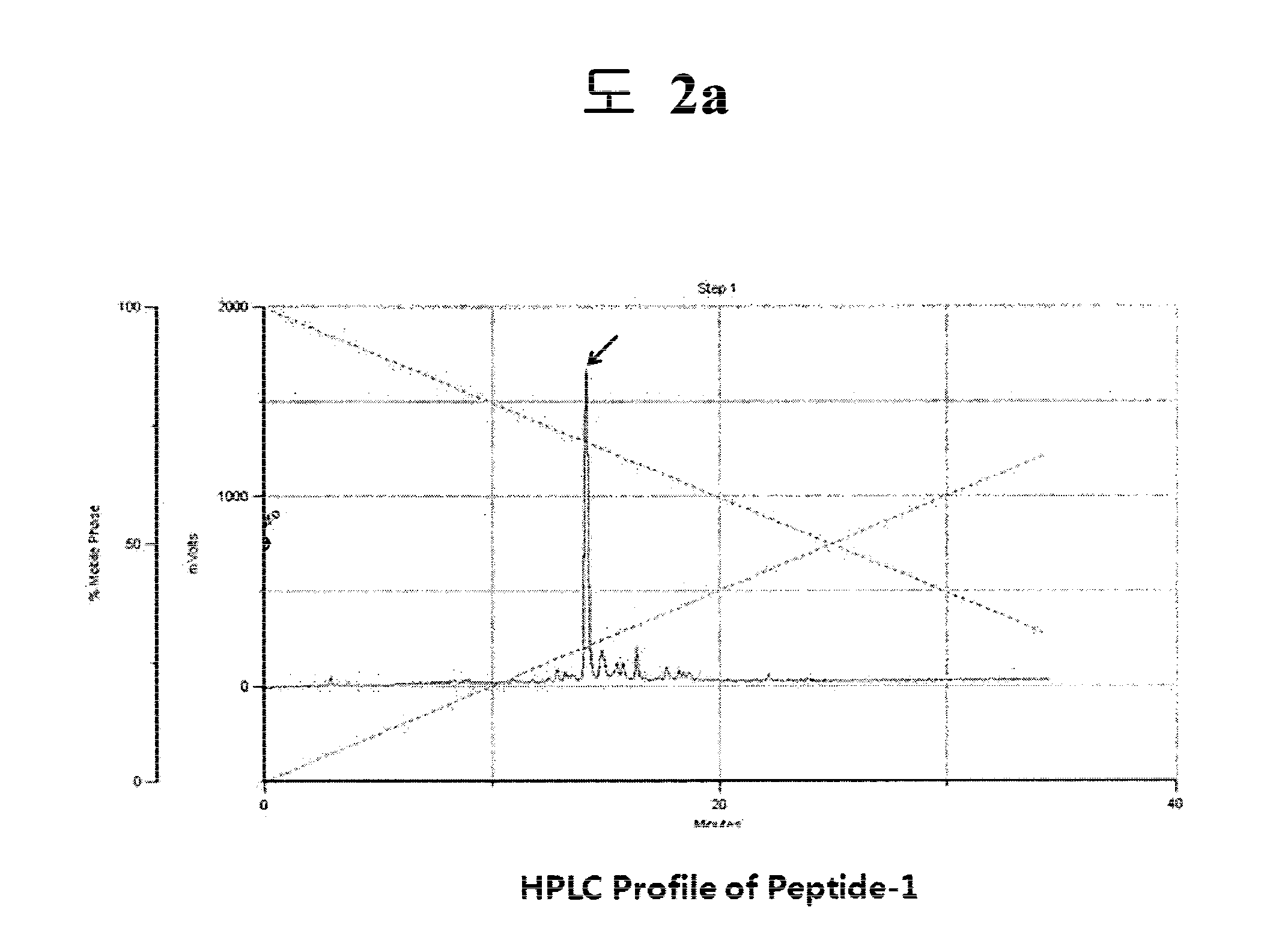 Growth Factor-Mimicking Peptides and Uses Thereof