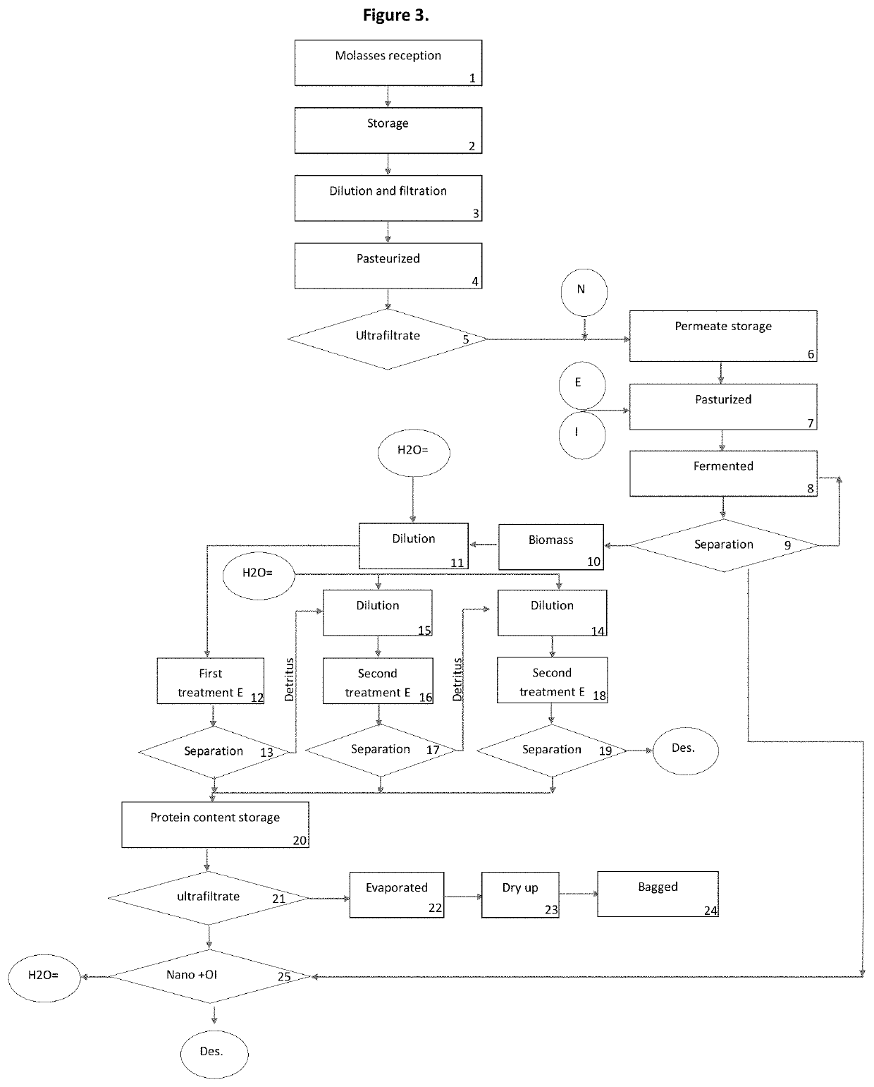 Method for obtaining protein from whey or molasses