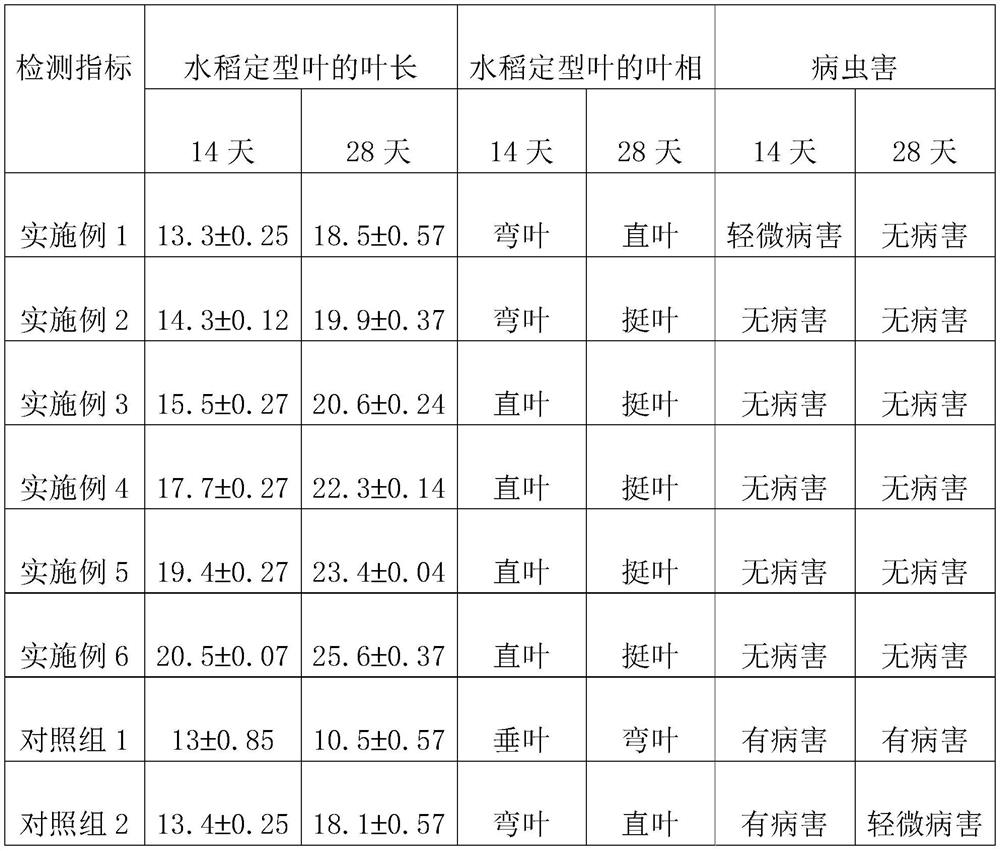 Pest-resistant traditional Chinese medicine preparation and preparation method thereof