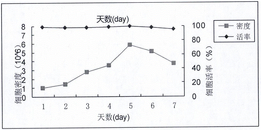CHO (Chinese hamster ovary) cell serum-free protein-free culture medium and preparation method thereof
