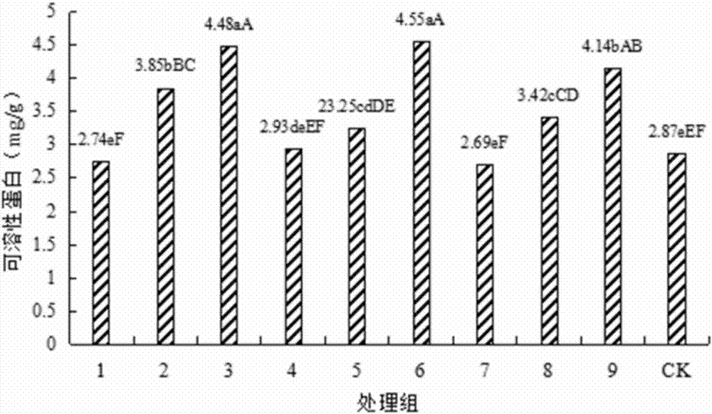 Composite initiator for improving activity of deteriorated seeds of angelicae dahurica and application of composite initiator