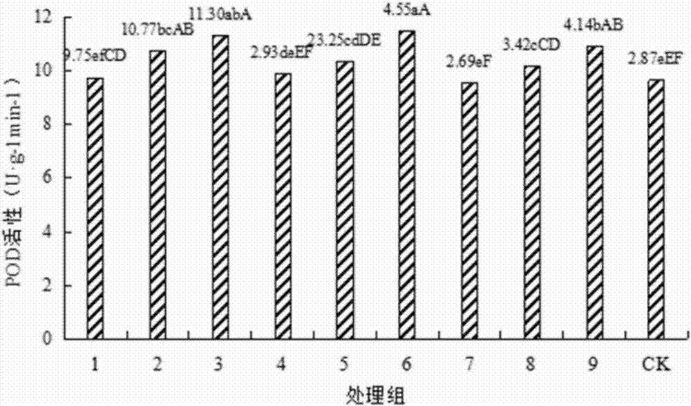 Composite initiator for improving activity of deteriorated seeds of angelicae dahurica and application of composite initiator