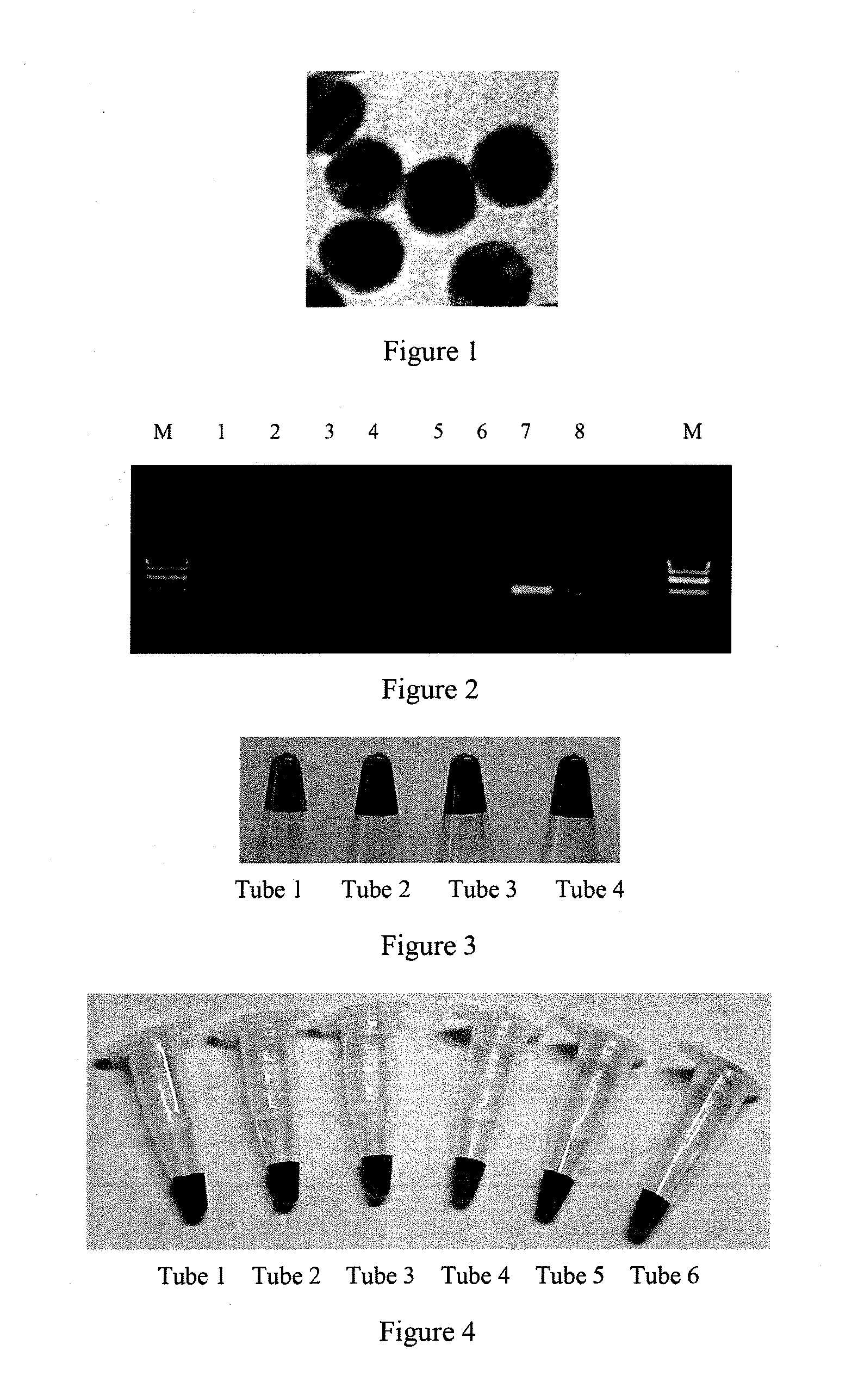Detection method of nucleic acid and kit and using thereof